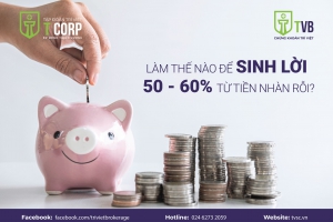 LÀM THẾ NÀO ĐỂ SINH LỜI 50 - 60% TỪ TIỀN NHÀN RỖI?